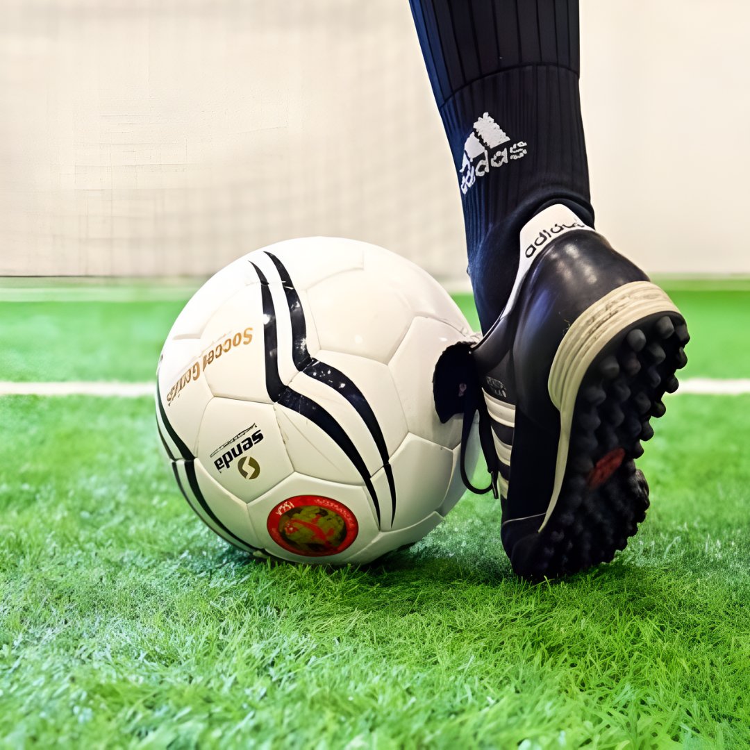 Proyecto LIFE T4C tweet media