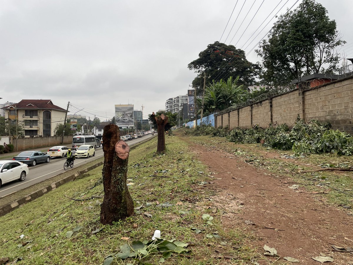 Chris Kost (@chriskost) on Twitter photo Dear <a href="/KenyaPower/">The Kenya Power & Lighting Company Plc.</a>, these trees were not even close to the power line. Why did we cut them down? Dear <a href="/KenyaPower/">The Kenya Power & Lighting Company Plc.</a>, these trees were not even close to the power line. Why did we cut them down?