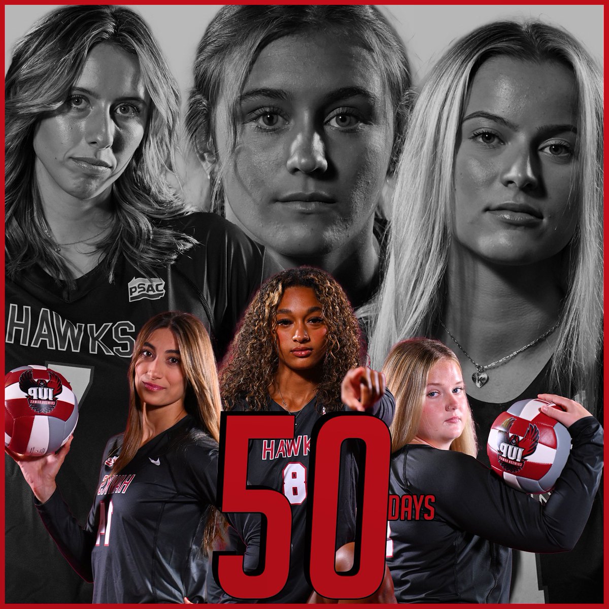 IUPVB's tweet photo. 𝘛𝘪𝘬 𝘵𝘰𝘬, 𝘵𝘪𝘬 𝘵𝘰𝘬...5️⃣0️⃣ 𝙙𝙖𝙮𝙨 𝙩𝙤 𝙁𝙞𝙧𝙨𝙩 𝙎𝙚𝙧𝙫𝙚

#TalonsUp #VolleyHawks https://t.co/Ew8HrdxF8j