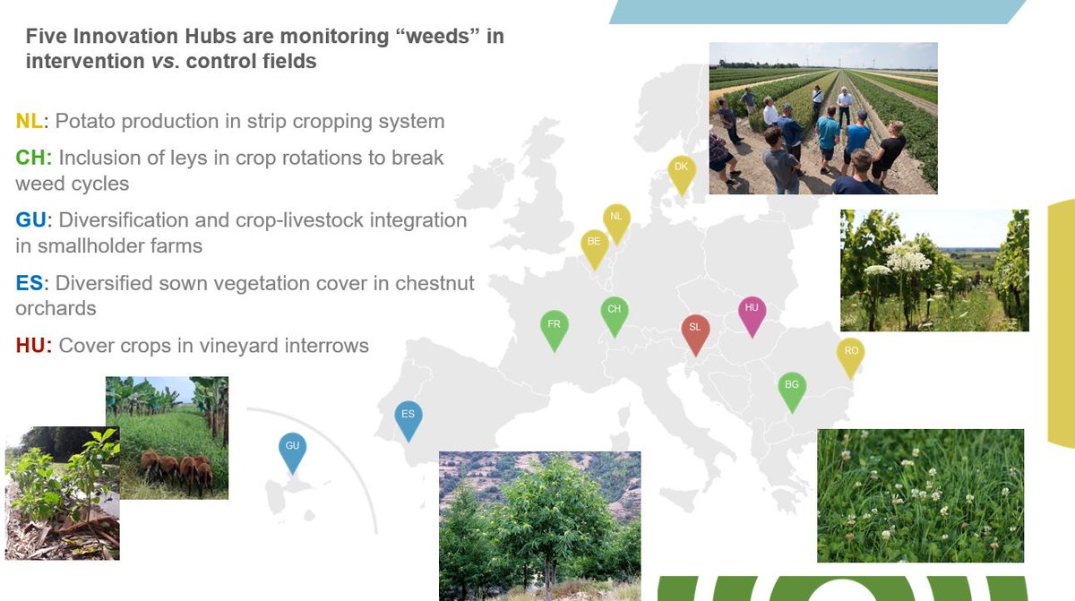 Agroecology-TRANSECT tweet media