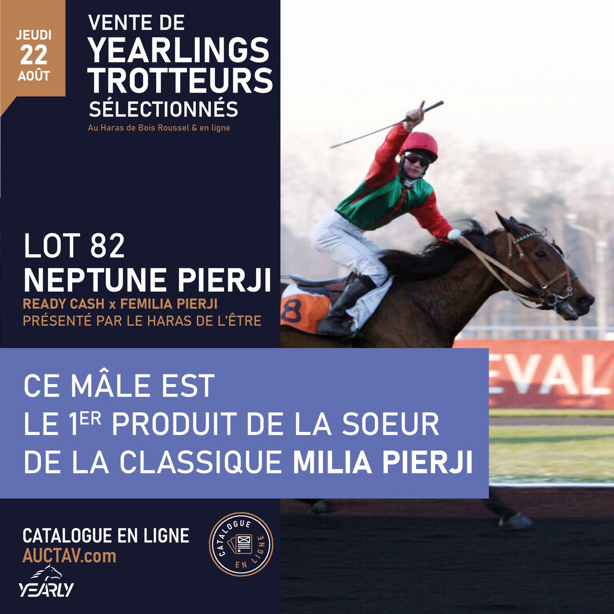 AuctavSales's tweet photo. Vente de Yearlings Trotteurs Sélectionnés x #Yearly
🔥 22 août avec notamment NEPTUNE PIERJI (lot 82) présenté par le @harasdeletre 
Ce fils de #ReadyCash est issu d’une fratrie de champions qui comprend 11 vainqueurs sur 14 qualifiés, dont la Classique MILIA PIERJI https://t.co/ifVUIAHYlY