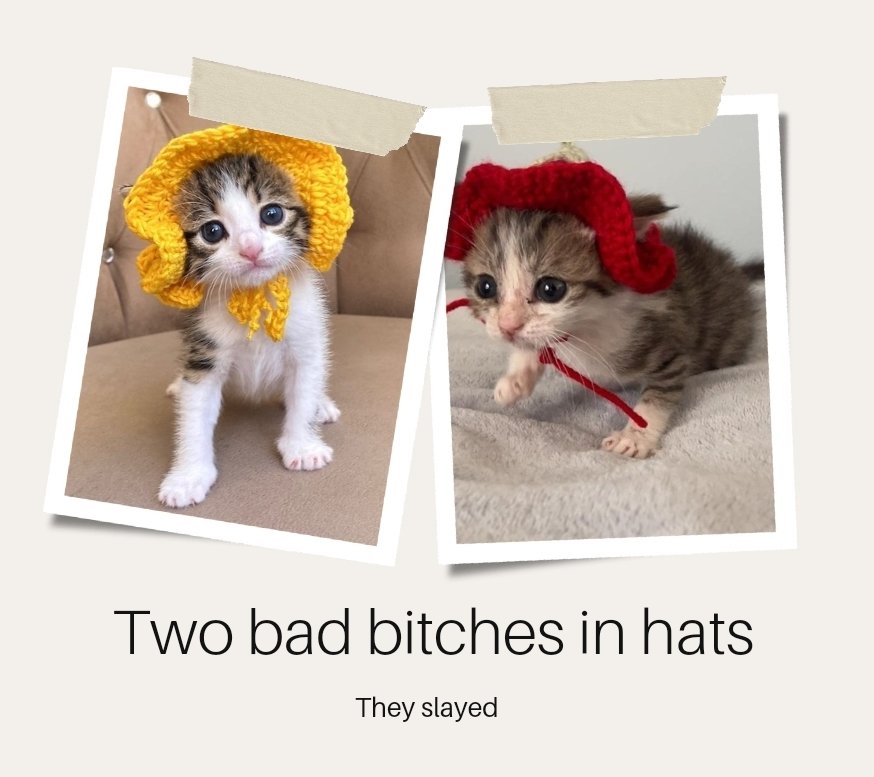 stickydacat's tweet photo. SLAAAAYYY!!!!!!! https://t.co/RCnfdKV5gQ