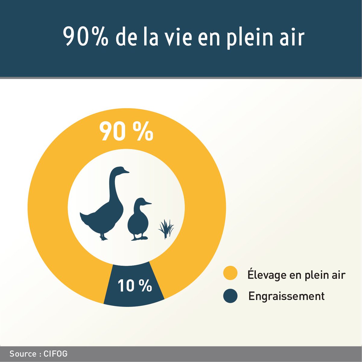 Foie Gras tweet media