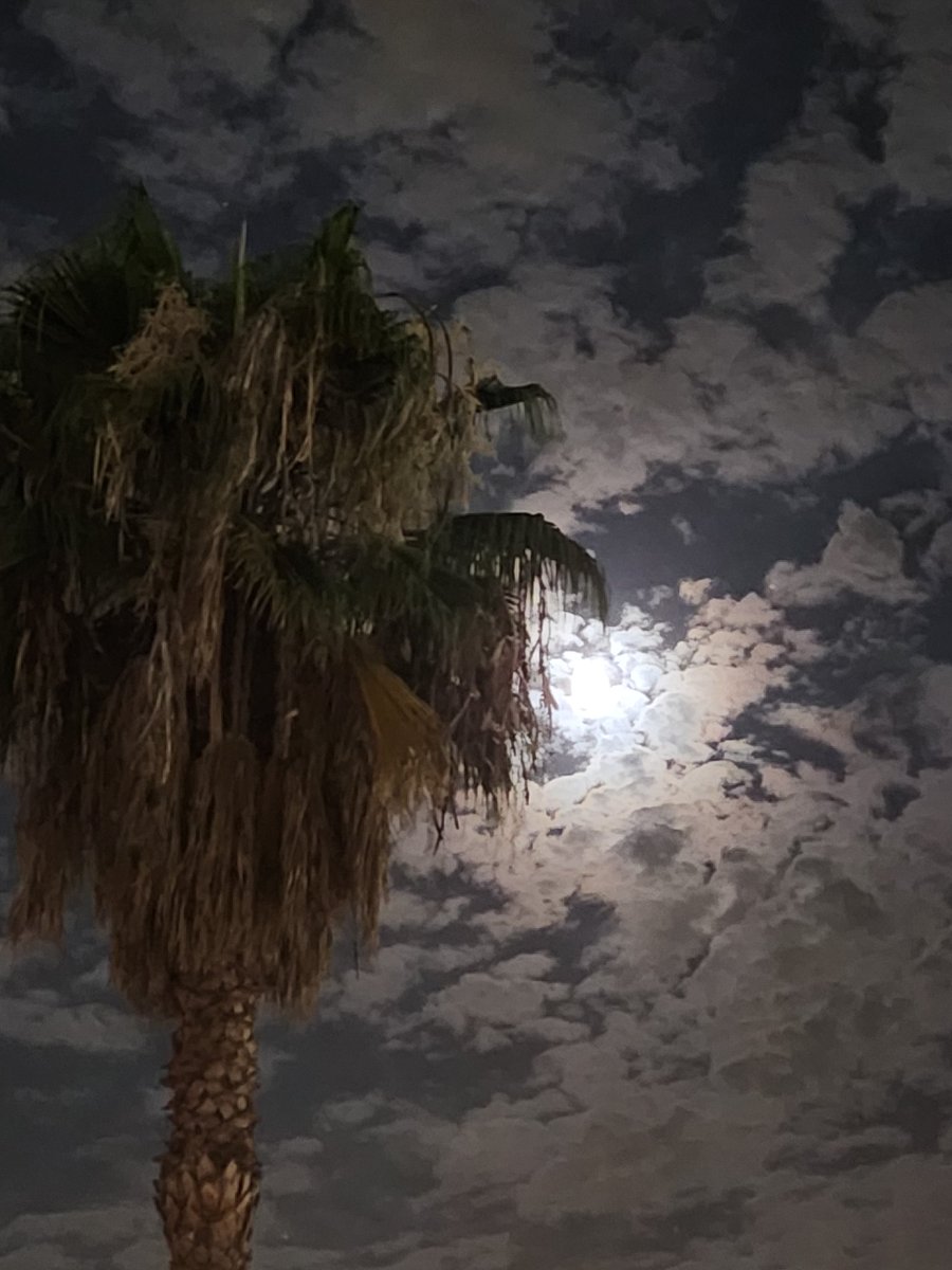 Michael Huseth tweet media