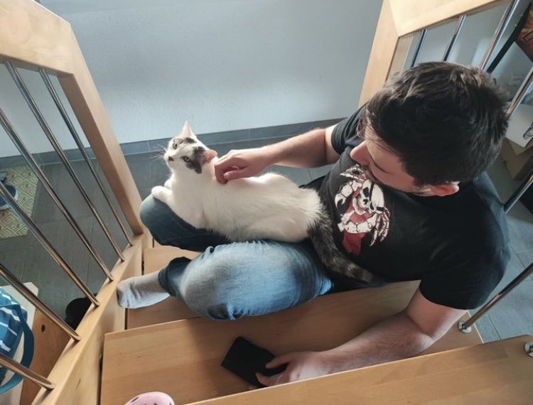 Tokay le chat 🐾 tweet media