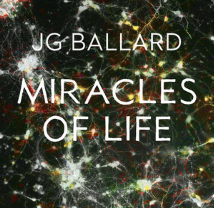 Hey Cazale (@heycazale) on Twitter photo 