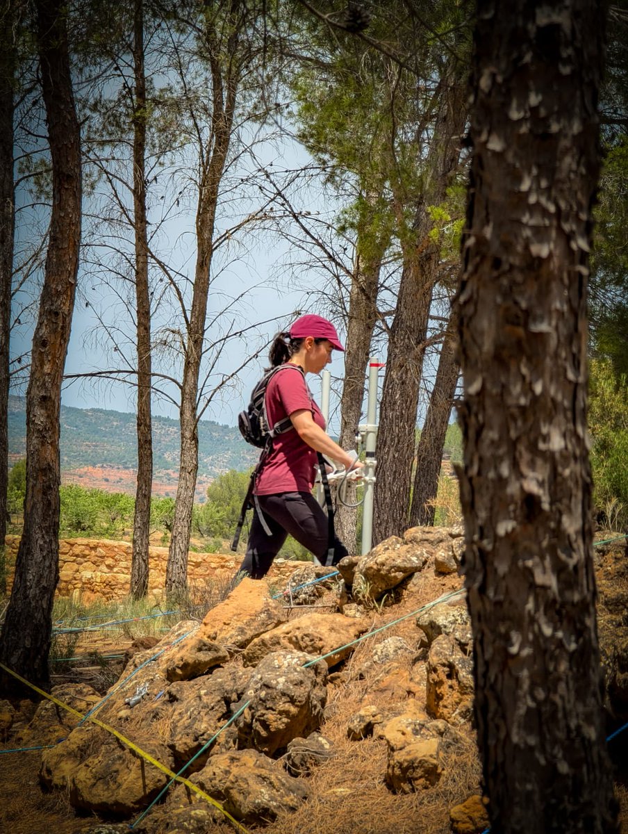 SensingIberian's tweet image. During the past few weeks, we have been working at the site of La Celadilla in Ademuz (Valencia). #Magnetometry and #GPR have been used to survey the area, with the support of @NTNU, @ArqueologiaUV and the Ayuntamiento de Ademuz.
#RemoteSensing  #Arqueogeophysics #Arqueologia