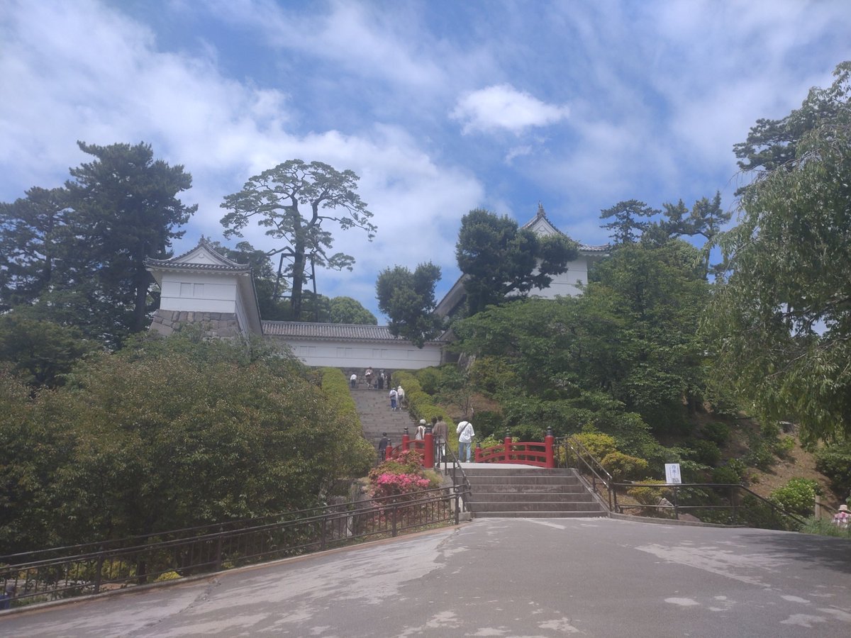 小田原城に行ってきました🏯
前からいつか行きたいなと
思ってたんでめちゃくちゃ
興奮しています😊
駅前とか雰囲気がいいし最高やん！