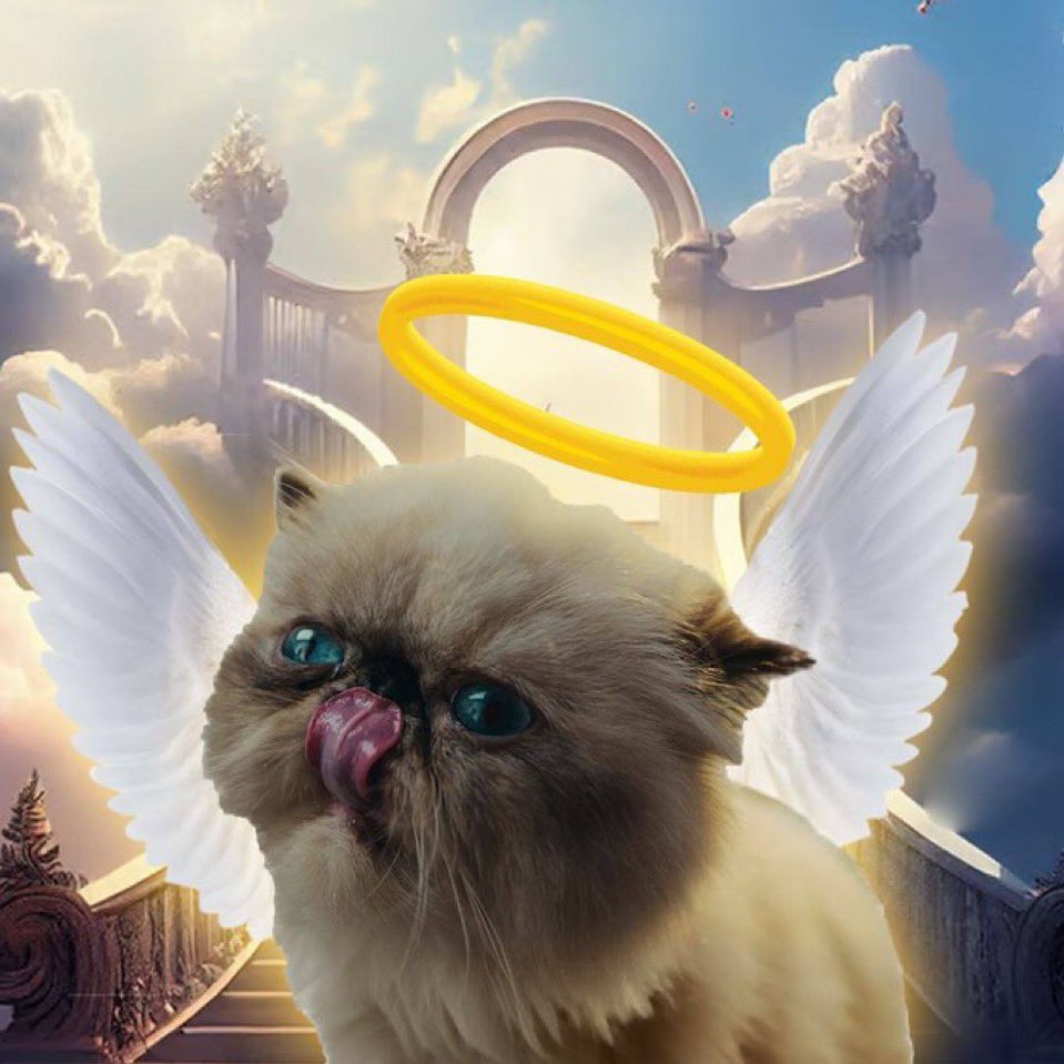 My theory about #MIGGLES is 3 fold: 

1) The main player exchange bull-posting about a meme like there is no tomorrow on their OWN chain with CB wallet integration??? lol - $1b for this is literally fud

2) CB wants a billion $ meme of their own to bring attention away from