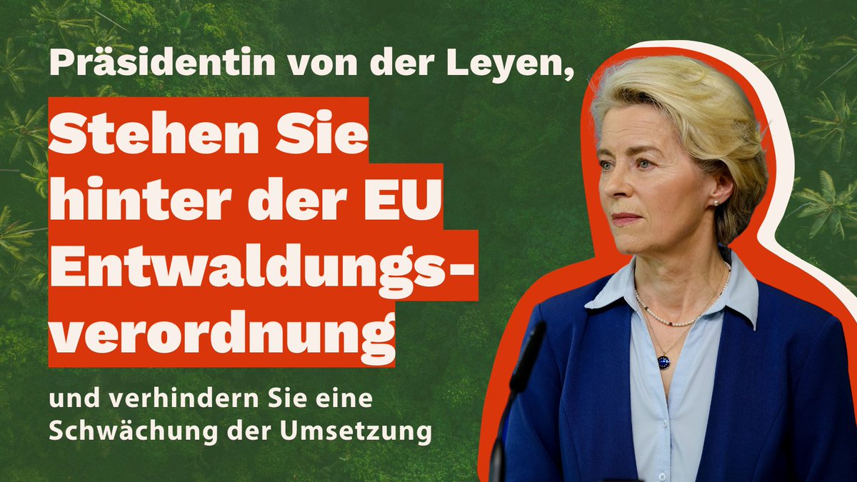 ℙ𝕖𝕖𝕣 ℂ𝕪𝕣𝕚𝕒𝕔𝕜𝕤 (@pcyriacks) on Twitter photo Die #Entwaldung muss dringend gestoppt werden, die #EUDR ist unsere größte Chance dafür. Jedoch ist sie durch Geschäftsinteressen und parteipolitische Ideologien bedroht. <a href="/vonderleyen/">Ursula von der Leyen</a> wir können die Natur- und #Klimakrise nur bekämpfen, wenn wir die #EUDR verteidigen #DefendEUDR Die #Entwaldung muss dringend gestoppt werden, die #EUDR ist unsere größte Chance dafür. Jedoch ist sie durch Geschäftsinteressen und parteipolitische Ideologien bedroht. <a href="/vonderleyen/">Ursula von der Leyen</a> wir können die Natur- und #Klimakrise nur bekämpfen, wenn wir die #EUDR verteidigen #DefendEUDR