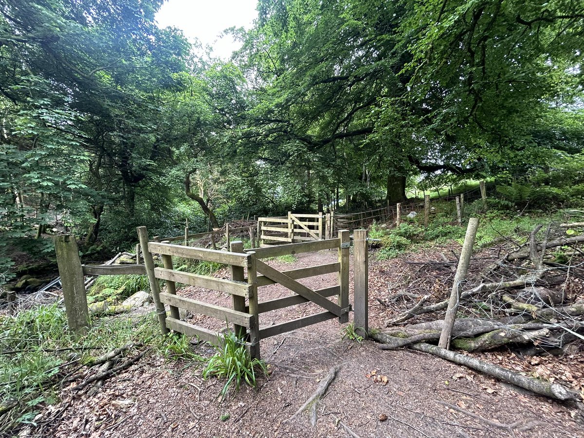 SavetheHellfire's tweet photo. Why @coilltenews are the kissing gates in Massy's Wood closed to the public with barbed wire? #managementplan #PublicAccess #ThursdayThoughts @sdublincoco https://t.co/xi3n691lFF