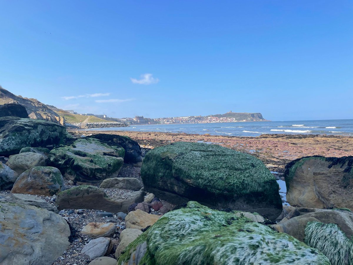 RivelynHotel's tweet photo. In Scarborough we have some great deals this summer on https://t.co/v2RmwTDmAK https://t.co/yGWlgwainE