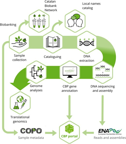 Roderic Guigó (@rodericguigo) on Twitter photo The CBP <a href="/CatBiogenoma/">Catalan Initiative for the Earth Biogenome Project</a> paper doi.org/10.1093/nargab… is out in #nargab. A “grass-root” initiative that has engaged researchers from all disciplines in Biology into a common project to contribute locally to the sequencing all eukaryotic genomes on Earth <a href="/EBPgenome/">Earth BioGenome Project 🌍</a> <a href="/erga_biodiv/">European Reference Genome Atlas</a> The CBP <a href="/CatBiogenoma/">Catalan Initiative for the Earth Biogenome Project</a> paper doi.org/10.1093/nargab… is out in #nargab. A “grass-root” initiative that has engaged researchers from all disciplines in Biology into a common project to contribute locally to the sequencing all eukaryotic genomes on Earth <a href="/EBPgenome/">Earth BioGenome Project 🌍</a> <a href="/erga_biodiv/">European Reference Genome Atlas</a>