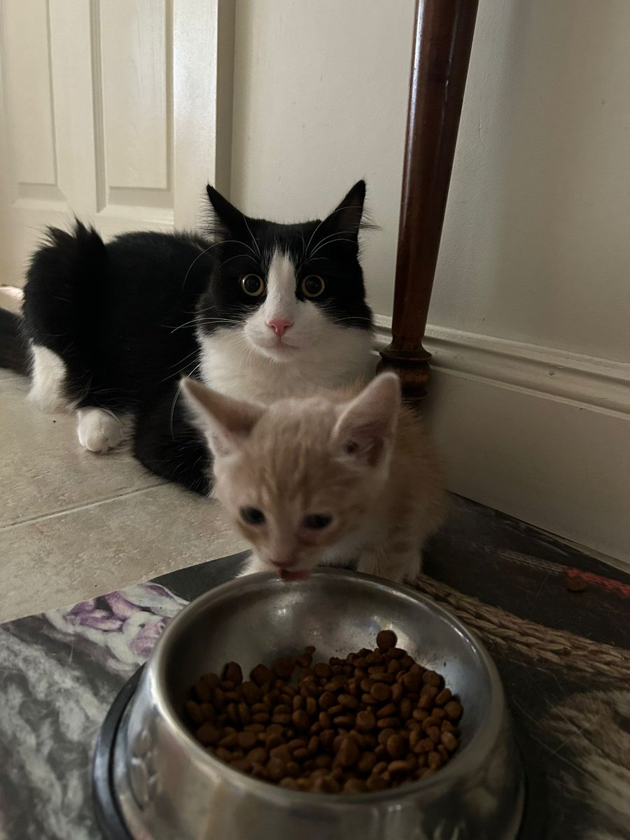 gm🧙‍♂️🖤

these mfers kept me up all night
and office is hotter than hell..
but i am the flames❤️‍🔥