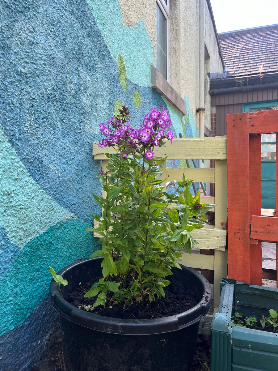 BalgreenPrimary tweet media