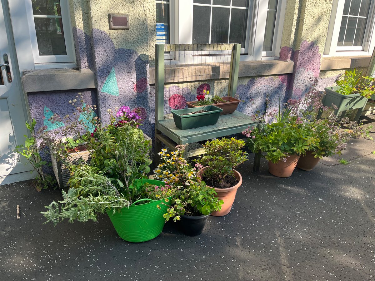 BalgreenPrimary tweet media