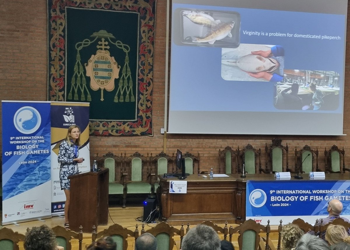 Daniel Żarski tweet media