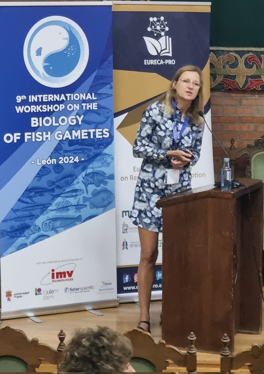 Daniel Żarski tweet media