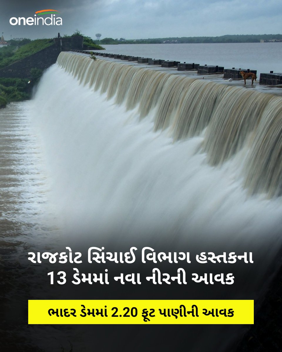 oneindiagujarat's tweet image. Rajkot Rain: રાજકોટ સિંચાઈ વિભાગ હસ્તકના 13 ડેમમાં નવા નીરની આવક

#monsoon #gujarat #Rian #rajkot #BhadarDam #heavyrain #Monsoon2024 #OneindiaGujarati