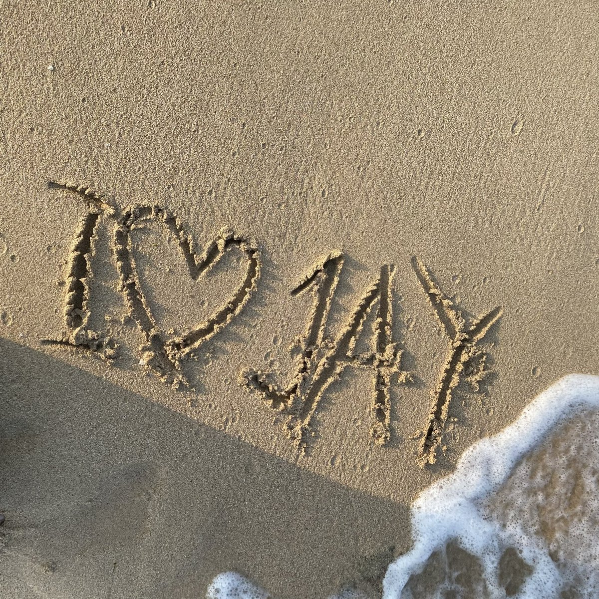 clyocean's tweet photo. 🐈‍⬛🌊 https://t.co/k1bAKCnlIK