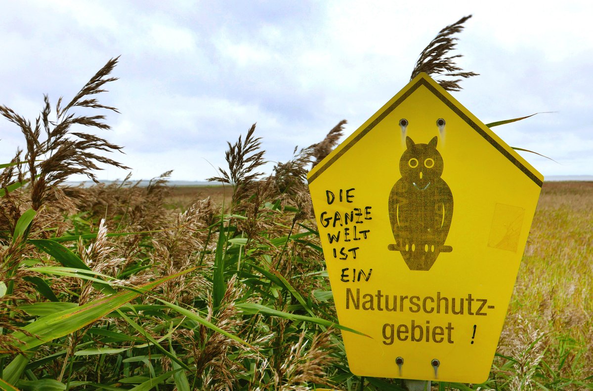 In den letzten 60 Jahren hat Deutschland fast die Hälfte seiner Vögel verloren. Der Film „Vogelperspektiven“ begleitet den Ornithologen Norbert Schäffer auf seiner Mission zur Rettung der Vögel. Am 22. August im SWR und ab 20. August in der #ARDMediathek.

swr.de/unternehmen/ko…
