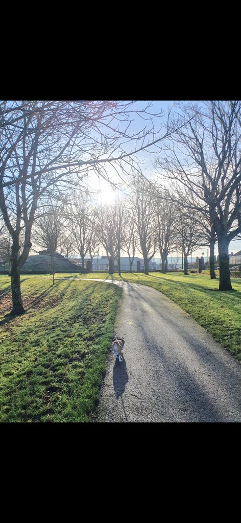 James.J.Claffey 🧠 P.R.I.D.E Psych🧠 tweet media