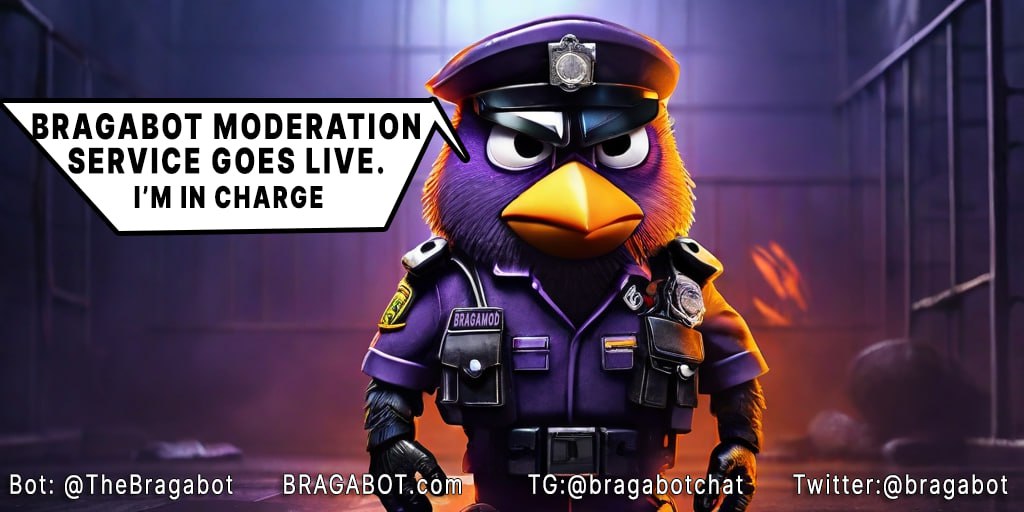 Braga Protocol tweet media
