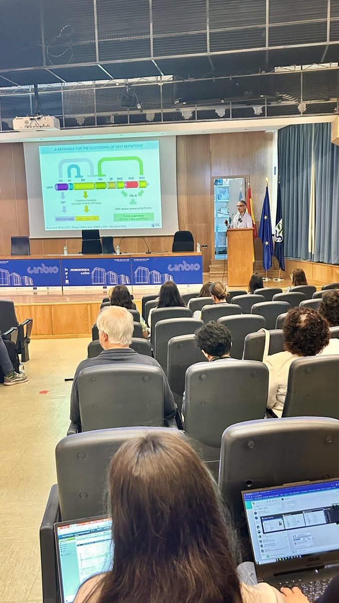 Noa Caramés tweet media