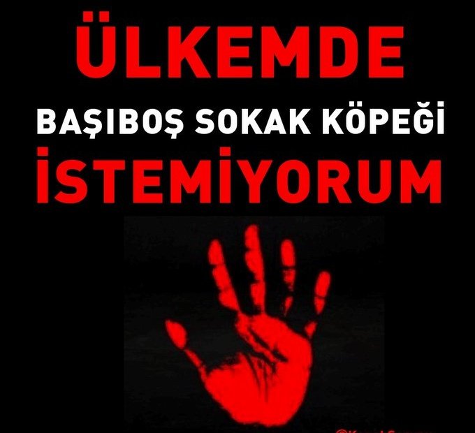 #MilletYasayaEvetDiyor