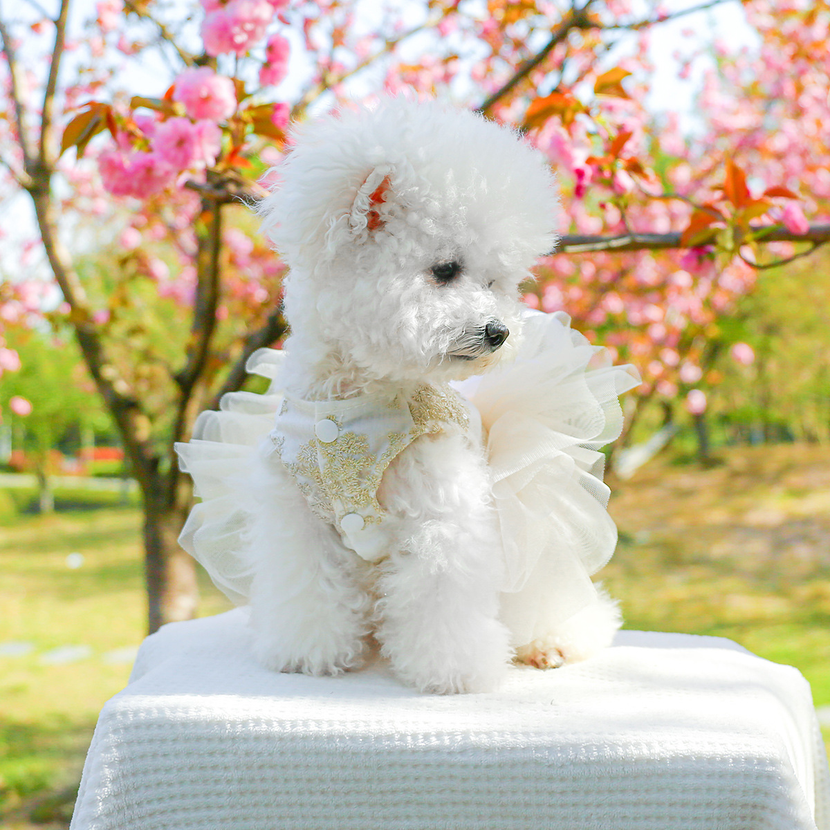 CUREME_PET's tweet photo. 🌸New Arrival🌸
Embroidered Princess Dress for Small Dogs👈👈
https://t.co/13Sw100GGg

ELEGANT DESIGN💎🎀
FASHIONABLE & PORTABLE👗✨
PERFECT FOR ANY OCCASION🎉🐾
.
.
.
#breathable #cute #petshop #puppylove #petlover #easytoclean #outside #petclothes #pet #light #puppydog #pricess