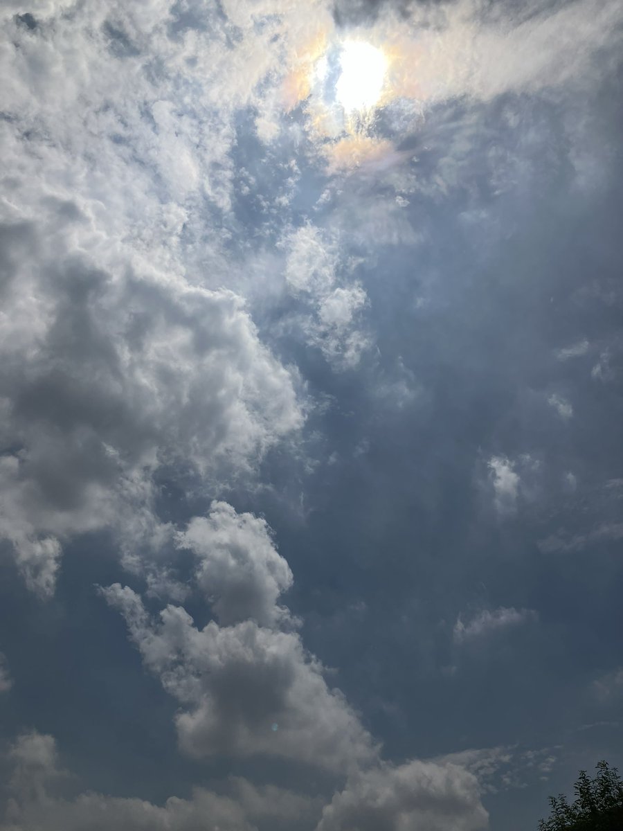 Motiusa2323's tweet photo. 夏って感じ… https://t.co/18PE45V1d9