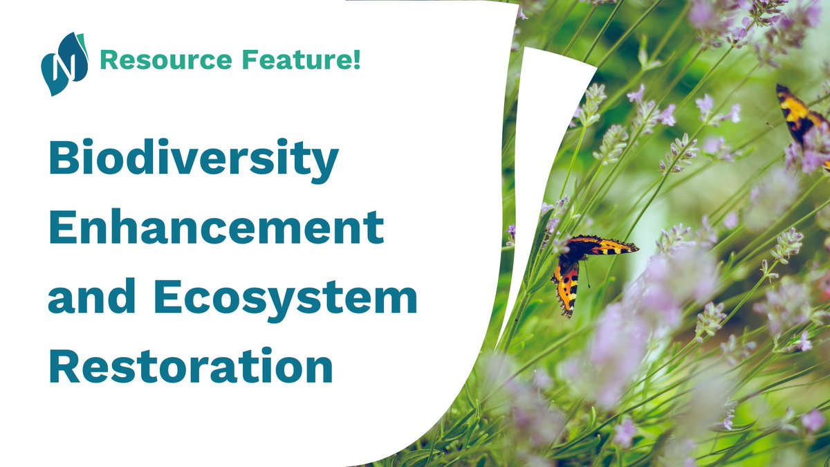 NetworkNatureEU's tweet photo. 🤔Want to learn more about the #NetworkNature theme Biodiversity Enhancement and Ecosysstem Restoration? Check out our beginner resource 🗞️NN Factsheet: Seizing opportunities for ecosystem restoration to tackle societal challenges.

🐞https://t.co/bwzchmXwpk

@IUCNEurope https://t.co/kNxzihk4ZP