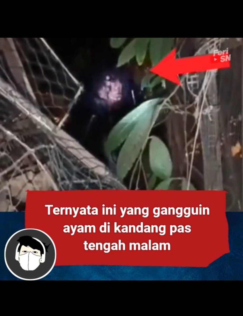 Rahasiaremajaaa's tweet photo. BIKIN GEGER WARGA !! inilah sosok makhluk halus yang sering mengganggu ayam ayam warga..

Gimana menurut kalian ? https://t.co/oKUsvseVNw