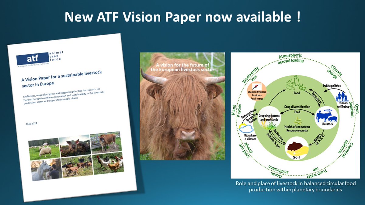 Animal Task Force (@animaltaskfrc) on Twitter photo π2024 ATF Vision Paper: A vision for the future of theπͺπΊ livestock sector
Download a copy β‘οΈ tinyurl.com/55pfpt3m
#Livestock #Food2030 #Sustainability
<a href="/EUAgri/">EU Agricultureπ±</a> <a href="/EU_ENV/">EU Environment</a> <a href="/EUScienceInnov/">EU Science & Innovation πͺπΊ</a> <a href="/EU_Health/">EU One Health</a> π2024 ATF Vision Paper: A vision for the future of theπͺπΊ livestock sector
Download a copy β‘οΈ tinyurl.com/55pfpt3m
#Livestock #Food2030 #Sustainability
<a href="/EUAgri/">EU Agricultureπ±</a> <a href="/EU_ENV/">EU Environment</a> <a href="/EUScienceInnov/">EU Science & Innovation πͺπΊ</a> <a href="/EU_Health/">EU One Health</a>