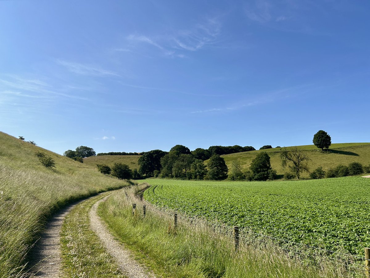 WeatherWolds's tweet photo. Early Tracks. 19°C and a warm day to come. Hares on the bank. https://t.co/gWmpd8bLRm