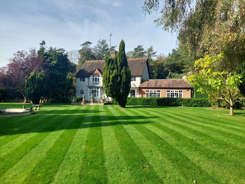 As Seen On Jitty 🕵🏻‍♀️ tweet media