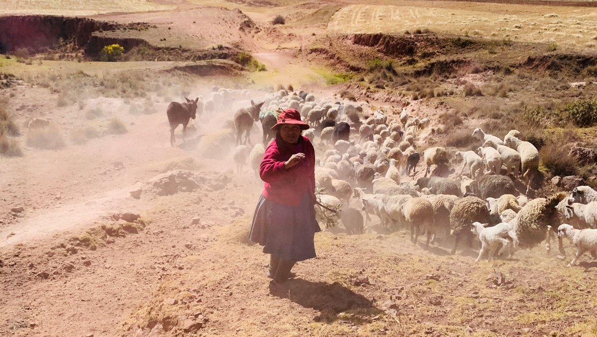 CampsInt's tweet photo. Now our UK school expeditions have started travelling, we can't wait to see your entries for our 2024 Photography Competition! ๐ฅณ
Enter here! ๐๏ธ https://t.co/dZEBl6cx6m
For inspiration, take a look at some of our previous yearly winners! ๐คฉ
#photocomp #campsinternational https://t.co/FsLA9Nw4cE
