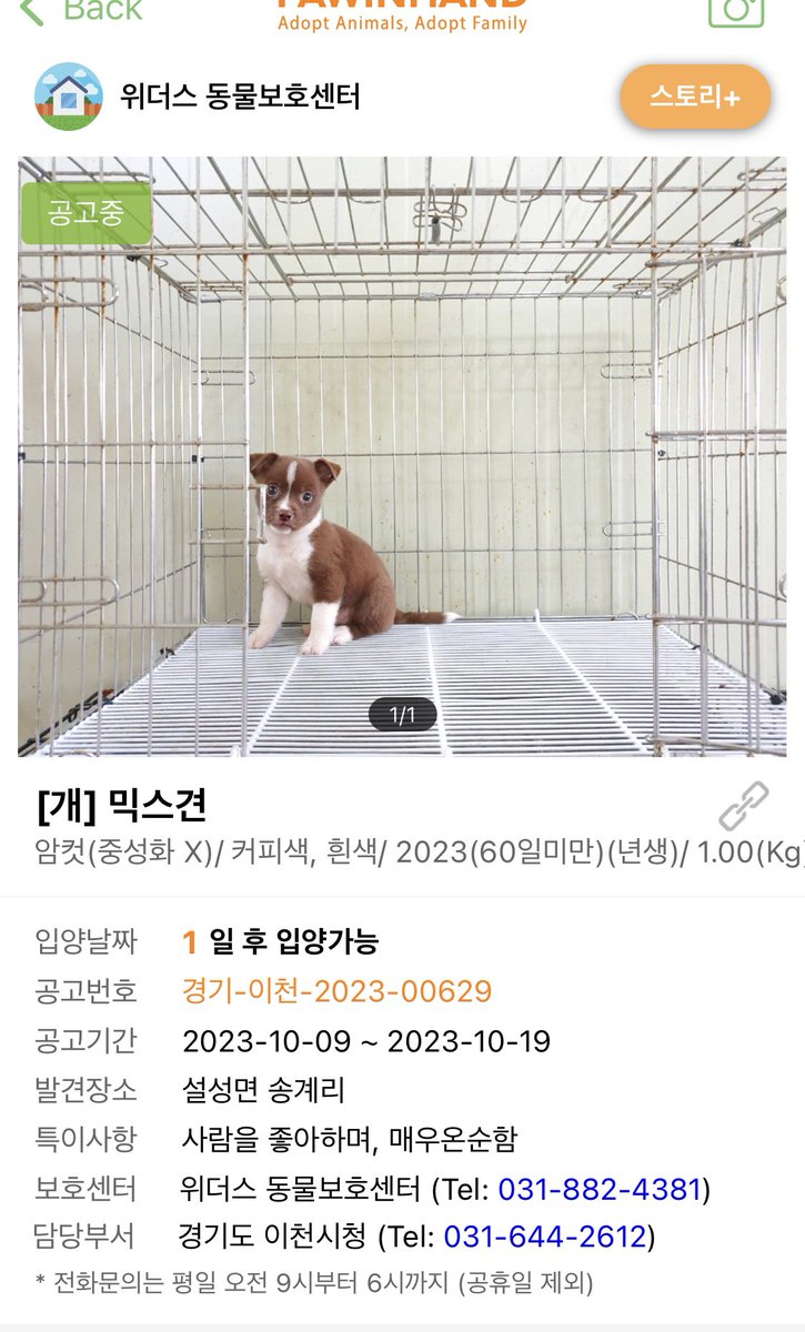 cungjodanho's tweet photo. 호이 데려온곳...호이랑 닮았어!! 넘 이쁘당~ https://t.co/9ckXCkIimk