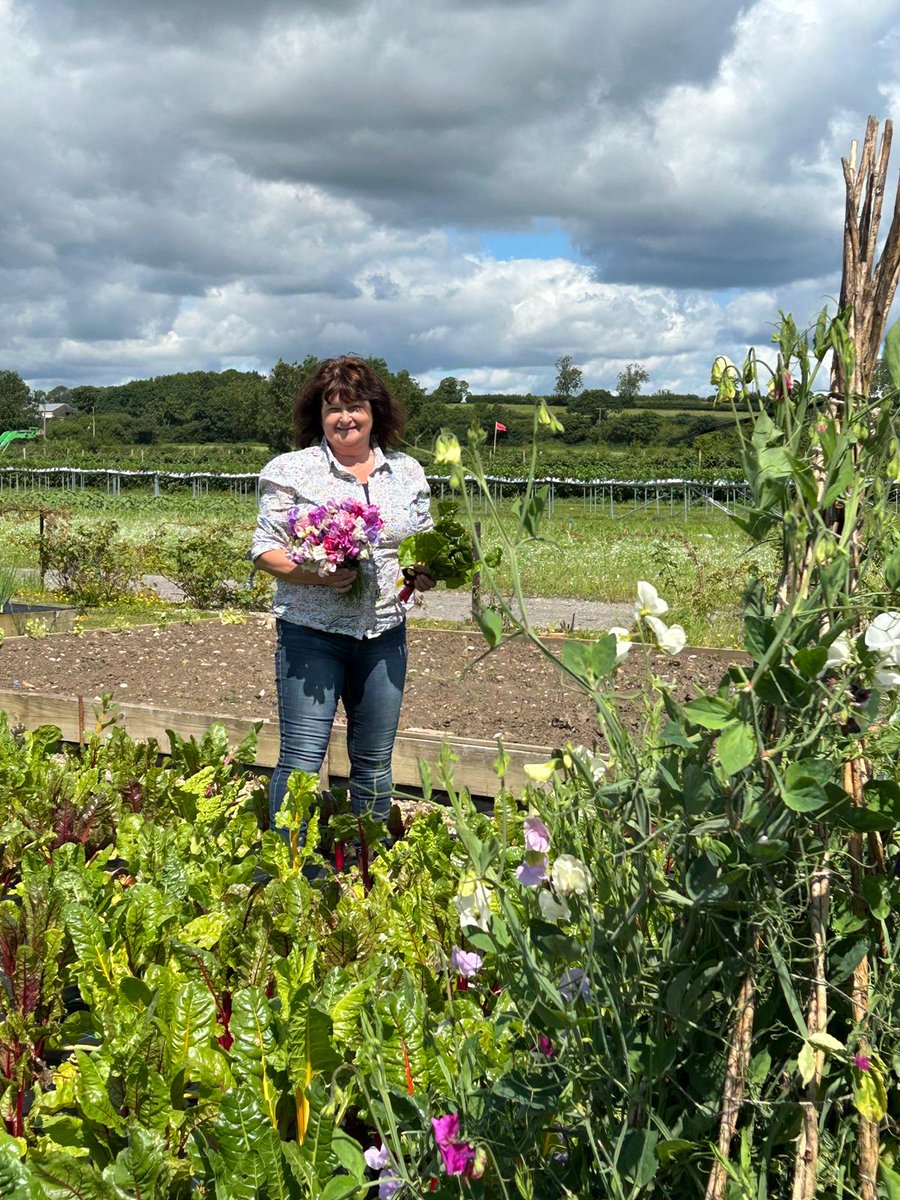 cedarbarn's tweet photo. Freshly picked sweet peas* and chard are available in the Farm Shop today. 

Here's Mandy in the cutting and kitchen garden which is looking beautiful.

#pickeringfarmshop #sweetpeas #freshlypickedveg #cedarbarnveg #broadmeadowblooms https://t.co/nZ8HYXlyq8
