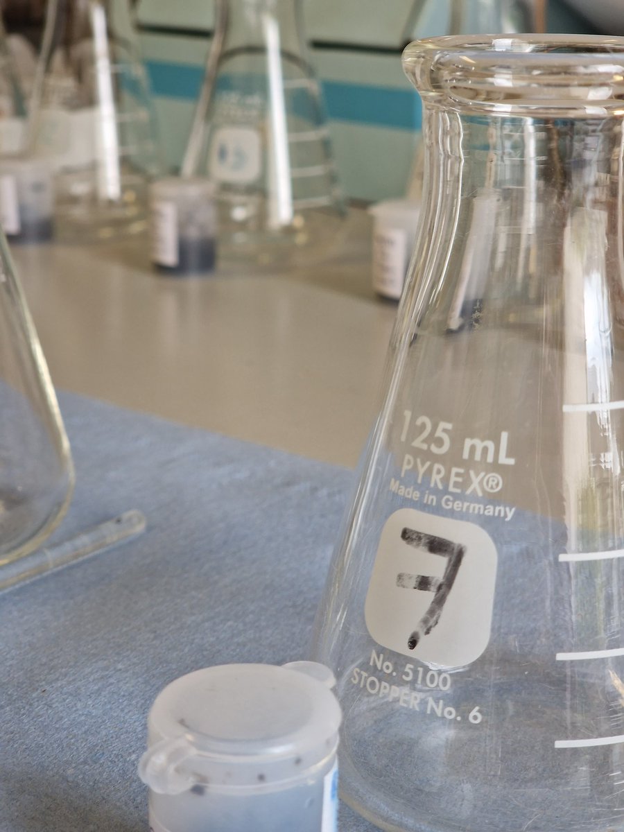 daisypollinator's tweet image. Back processing #pollen samples after having a broken finger! #labwork #roadtorecovery