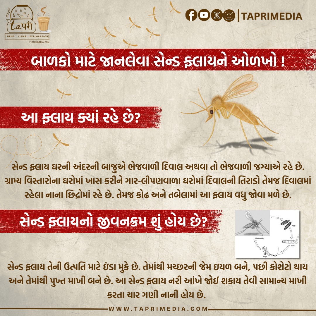 Tapri Media tweet media