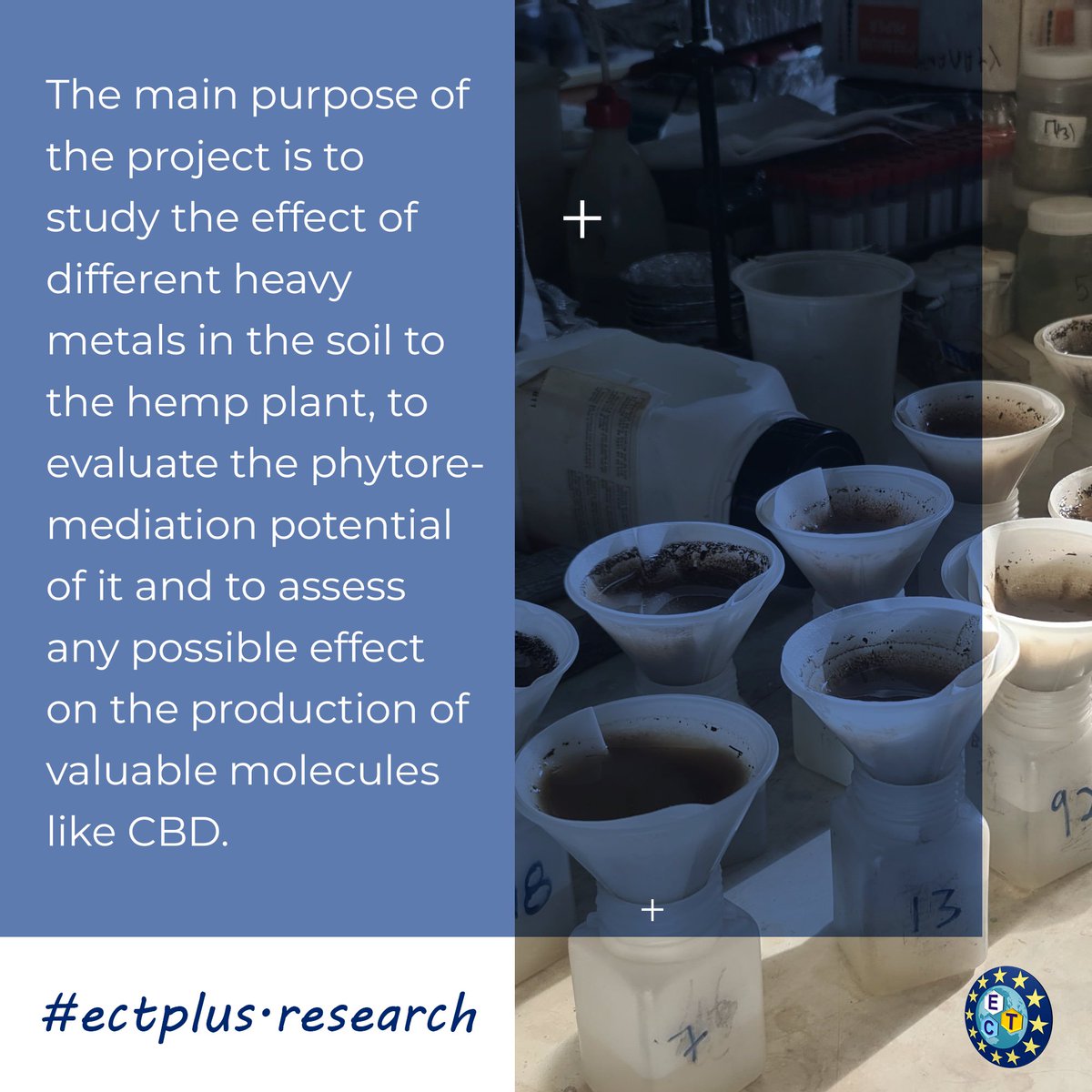 ect_emjmd's tweet photo. Edoardo Barbieri is at Aristotle University of Thessaloniki, Greece! His thesis explores the impact of various heavy #metals in #soil on #Hemp  plants. Edoardo's work aims to evaluate the #phytoremediation potential of hemp.
#ectplus #erasmusmundus #environment #research https://t.co/ExYCcVHyGK