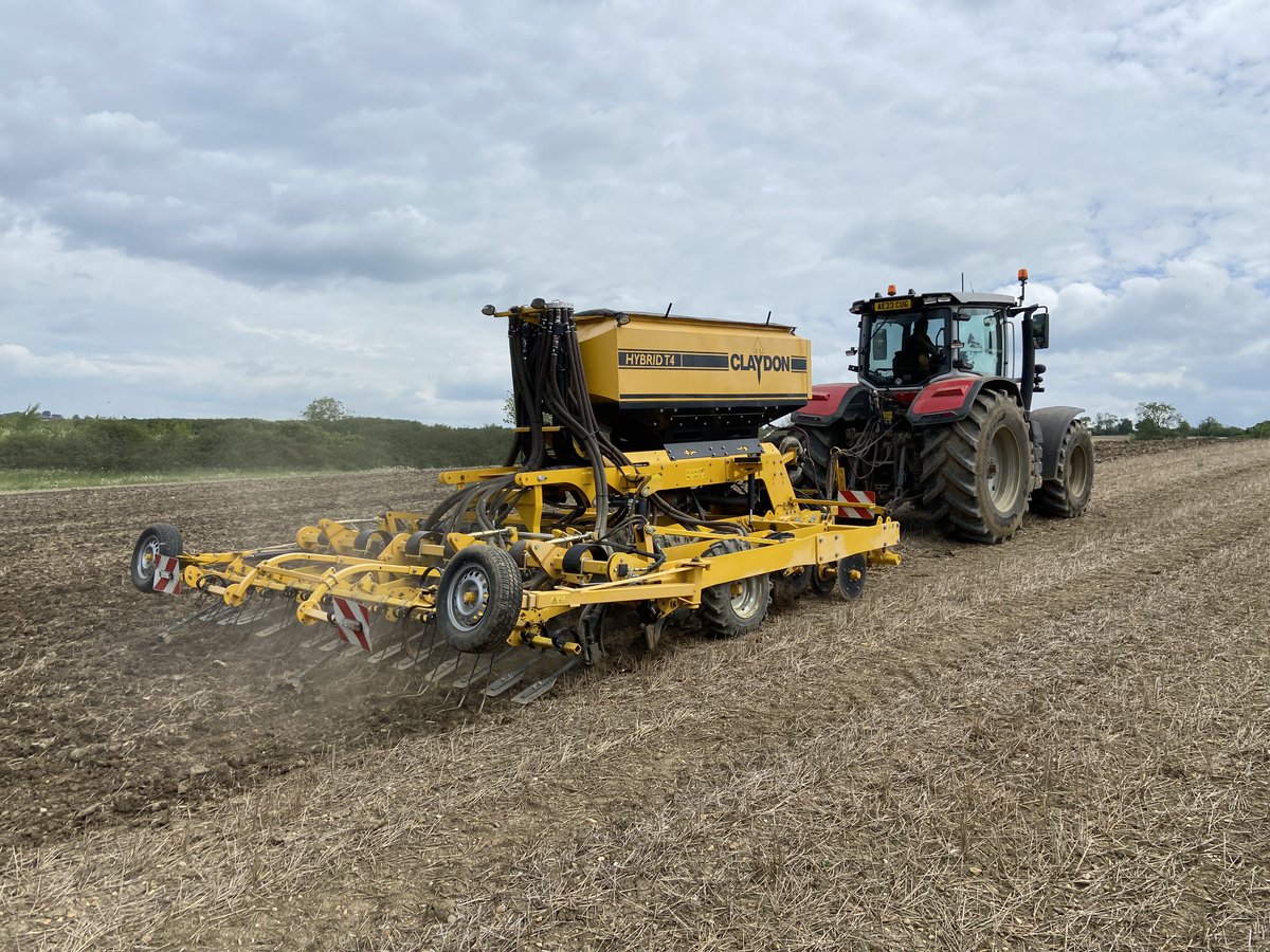 The Allerton Project tweet media