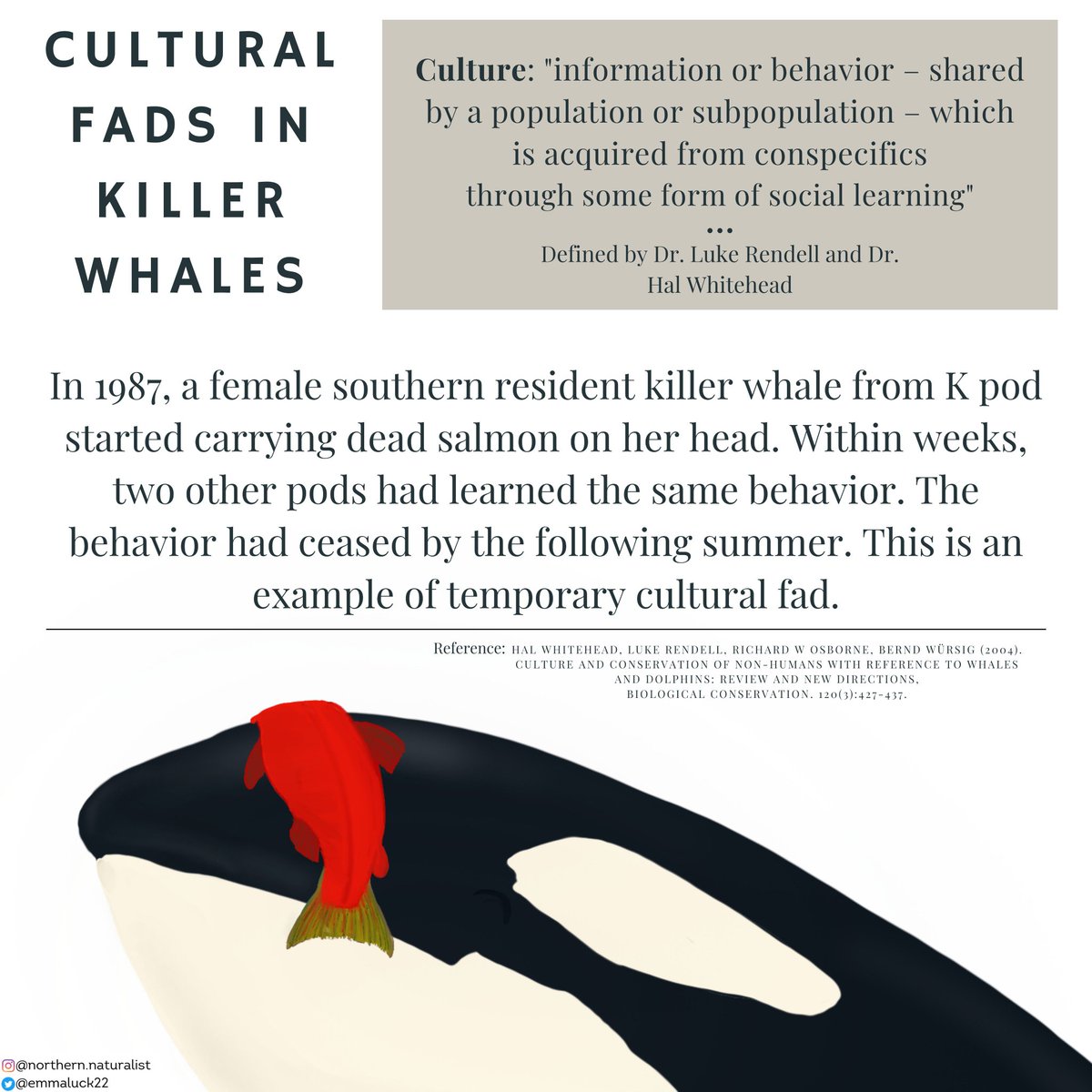 Alex Selby-Boothroyd (@alexselbyb) on Twitter photo 