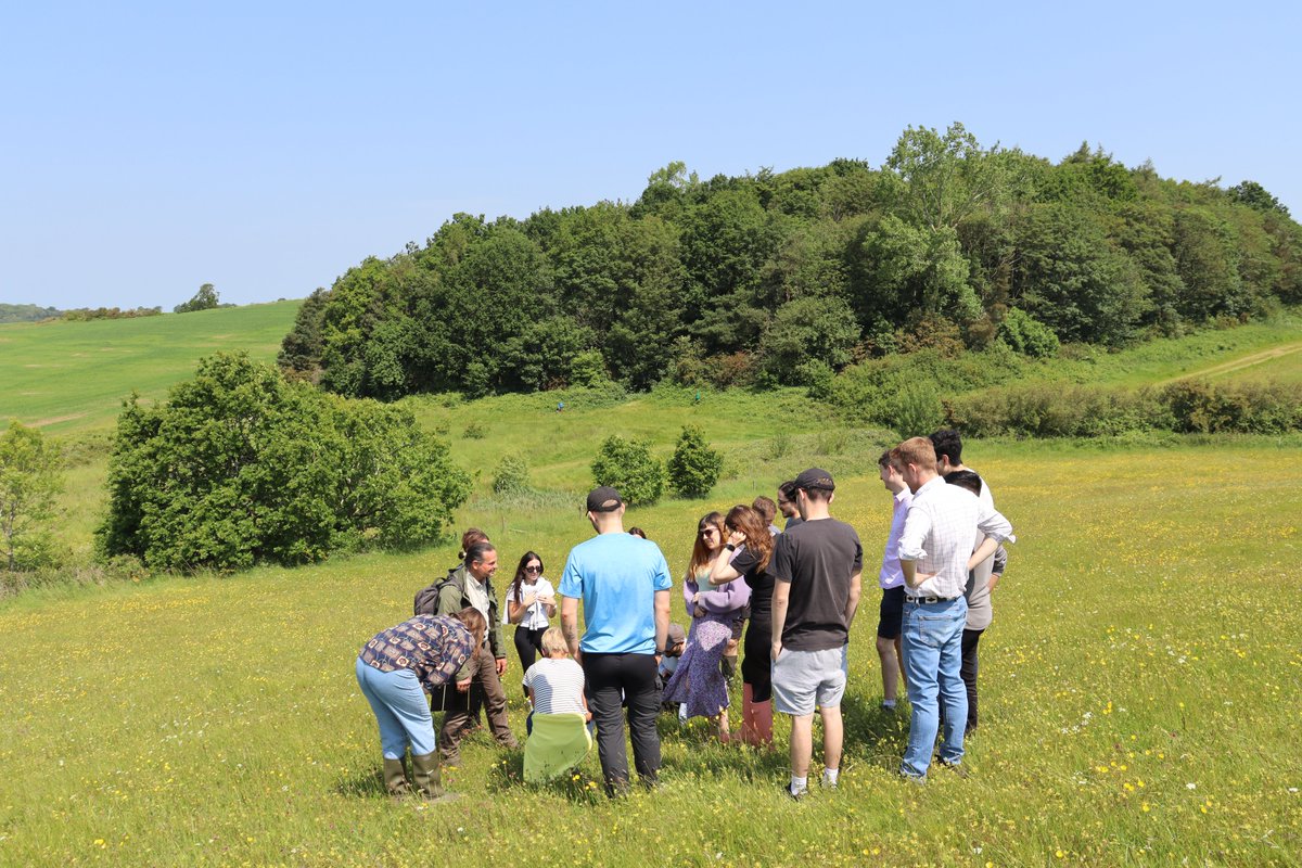 The Allerton Project tweet media