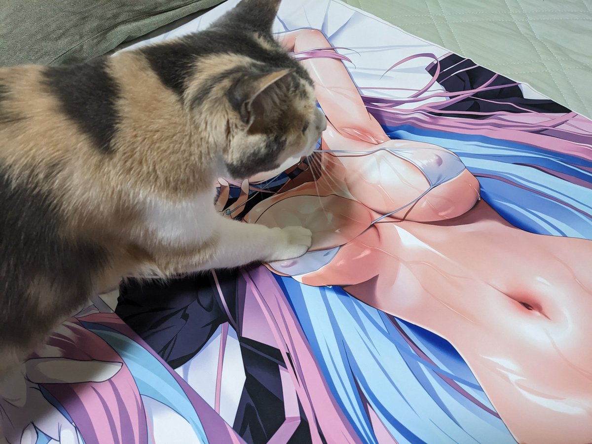 あーっ!お客様!困ります!困ります!
あーっ!お客様!あーっ!あーーっ! 