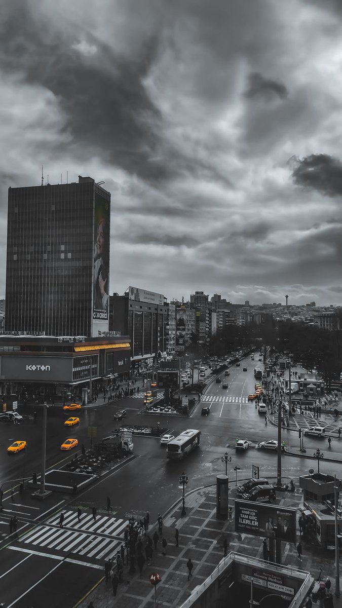 wisebaba tweet media