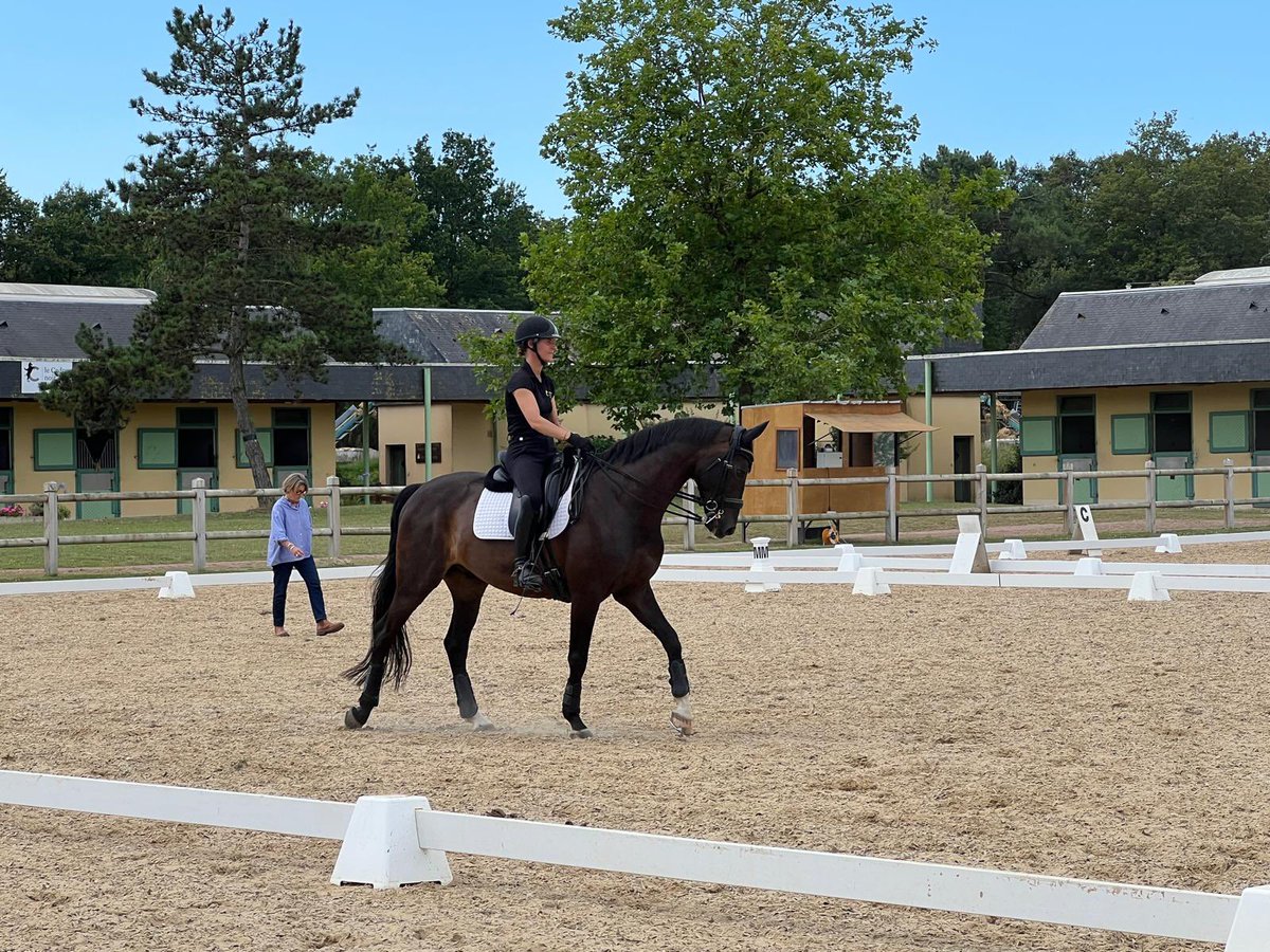 MFLNWHS1's tweet photo. @PaulineBasquin and her horse Sertorius de Rima put on an Olympic worthy display for our @NunneryWoodHS students this morning #France2024 #JeuxOlympiques2024 🇫🇷🇫🇷🐎🐎 https://t.co/nbrtmmlHAF
