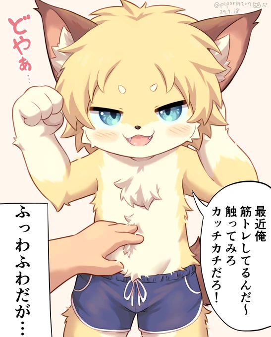 腹筋を触らせてくるケモショタ 