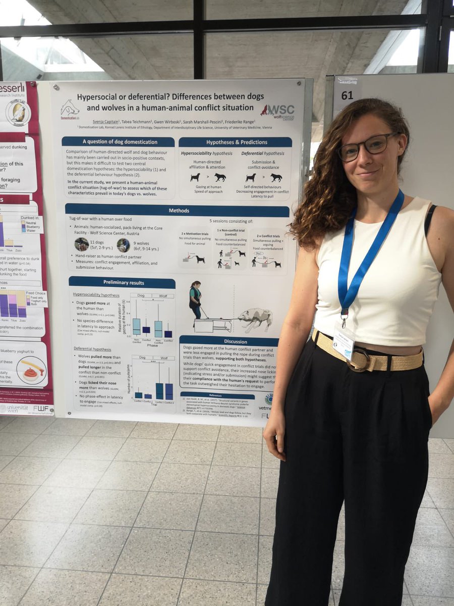 Domestication Lab Vienna tweet media